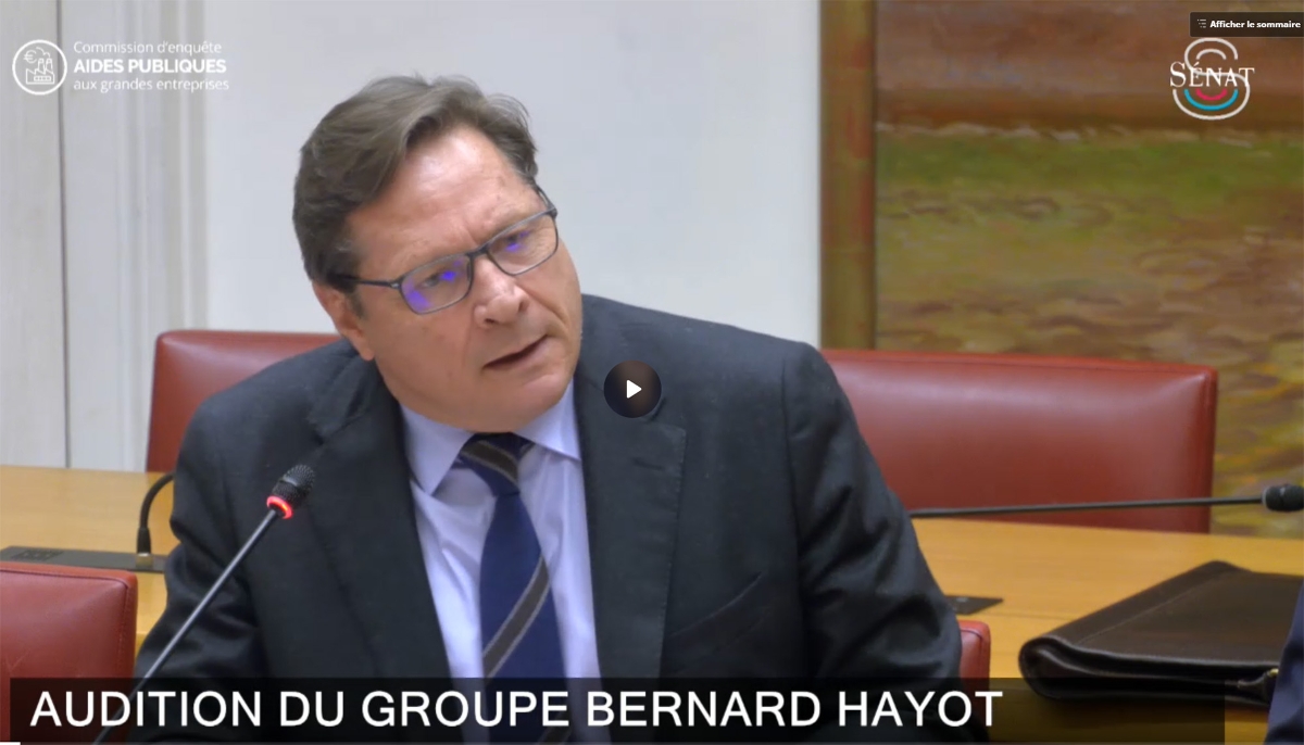 Le DG du Groupe Bernard Hayot, Stéphane Hayot, lors de l'audition au Sénat du 2 avril 2025.