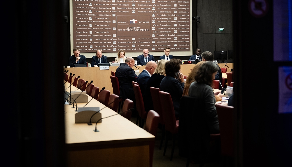 Marie-Ange Debon, lors de son audition par la commission des affaires économiques de l'Assemblée nationale.