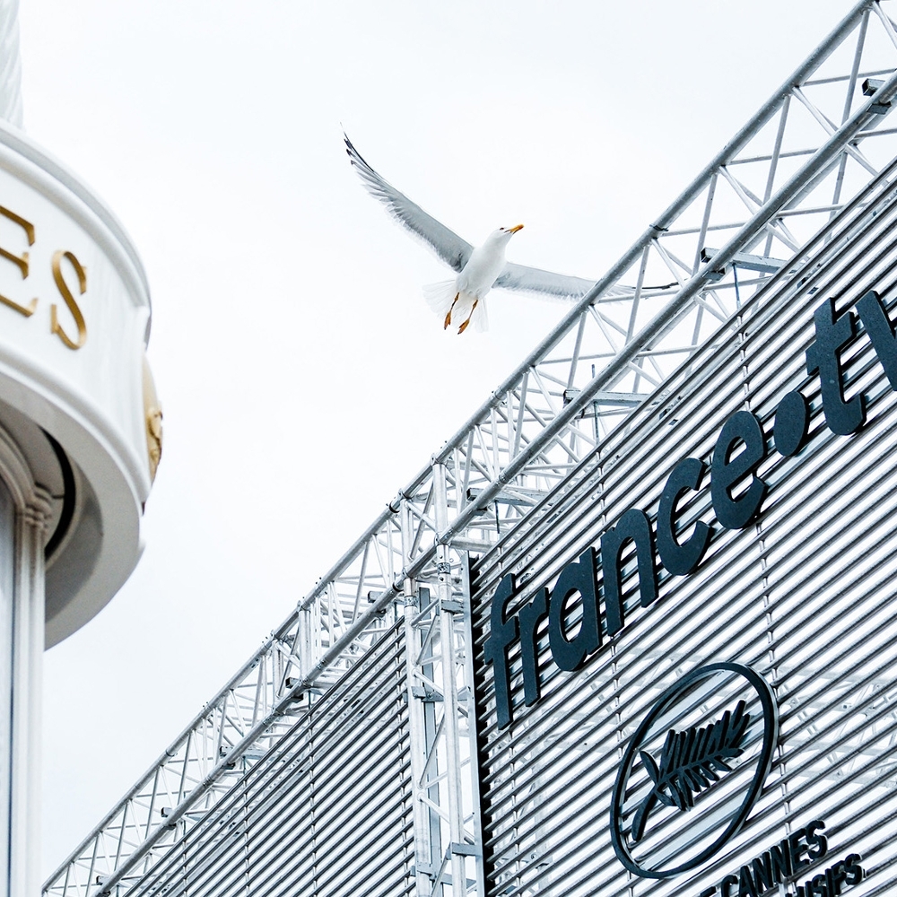 Vue du panneau annonçant le partenariat avec France télévisions du Festival de Cannes, 10 mai 2026, à Cannes.