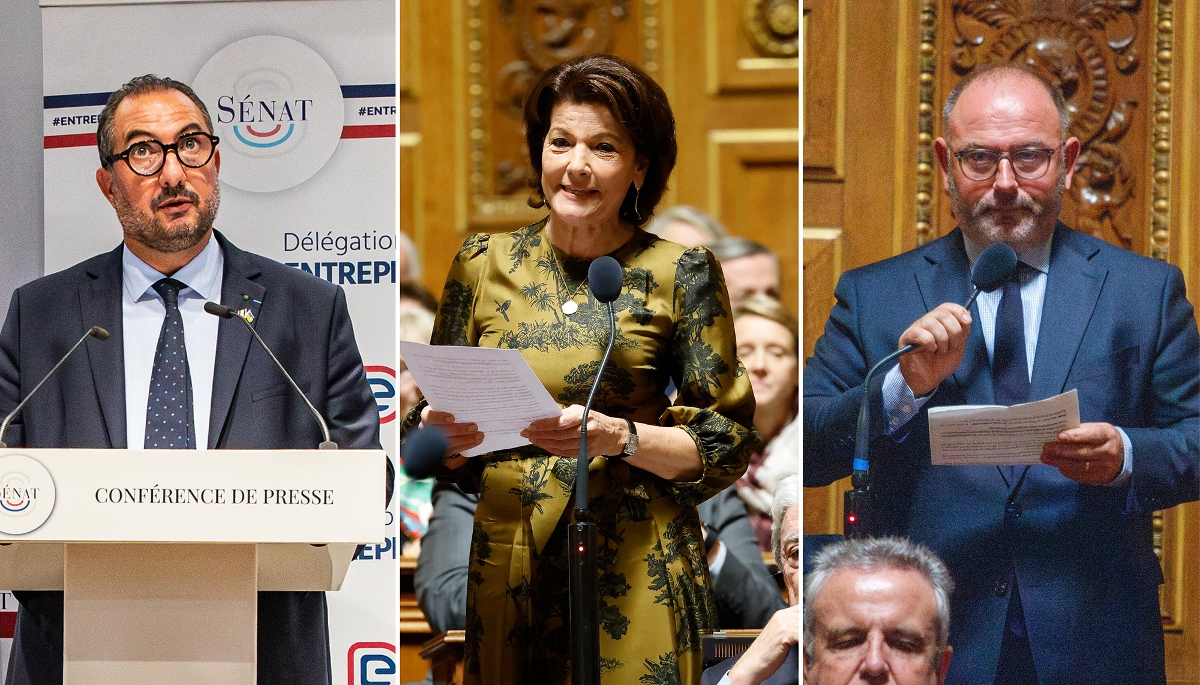 De gauche à droite, les sénateurs Franck Menonville, Dominique Estrosi Sassone, présidente de la commission, et Laurent Duplomb.