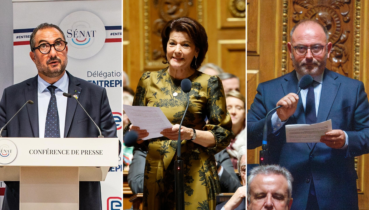 De gauche à droite, les sénateurs Franck Menonville, Dominique Estrosi Sassone, présidente de la commission, et Laurent Duplomb.