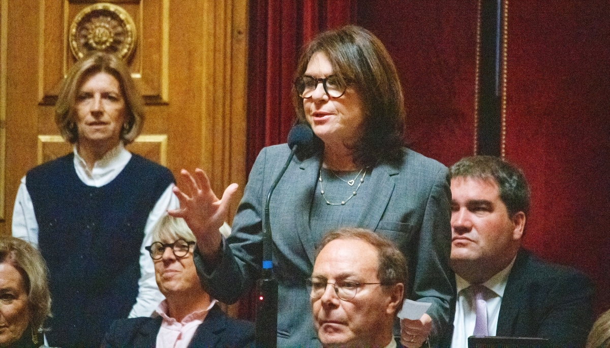 La sénatrice Nathalie Goulet, le 29 octobre 2025 au Palais du Luxembourg.