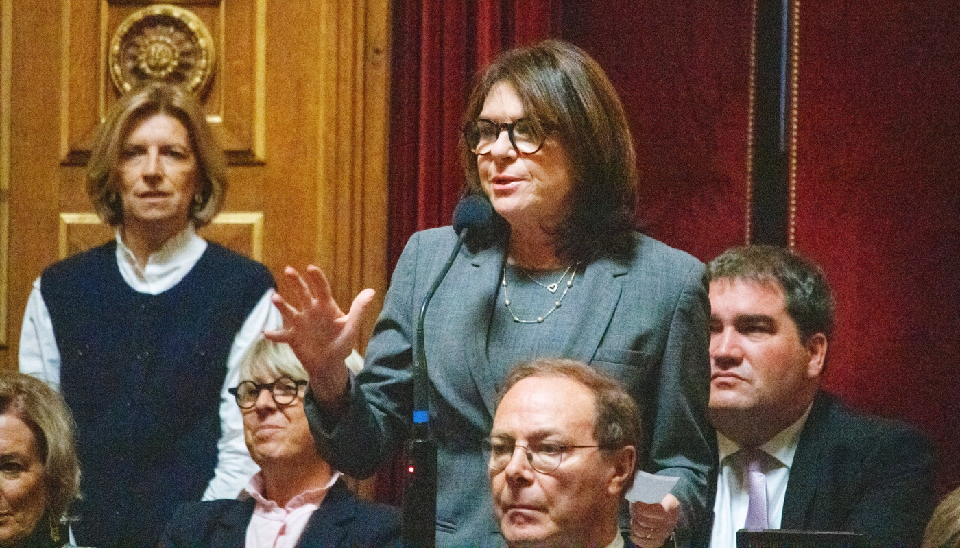 La sénatrice Nathalie Goulet, le 29 octobre 2025 au Palais du Luxembourg.