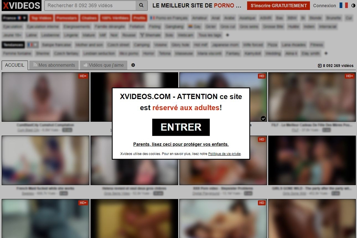 Les plateformes agrégatrices de vidéos adultes, un enjeu stratégique pour les solutions de vérification d'identité.